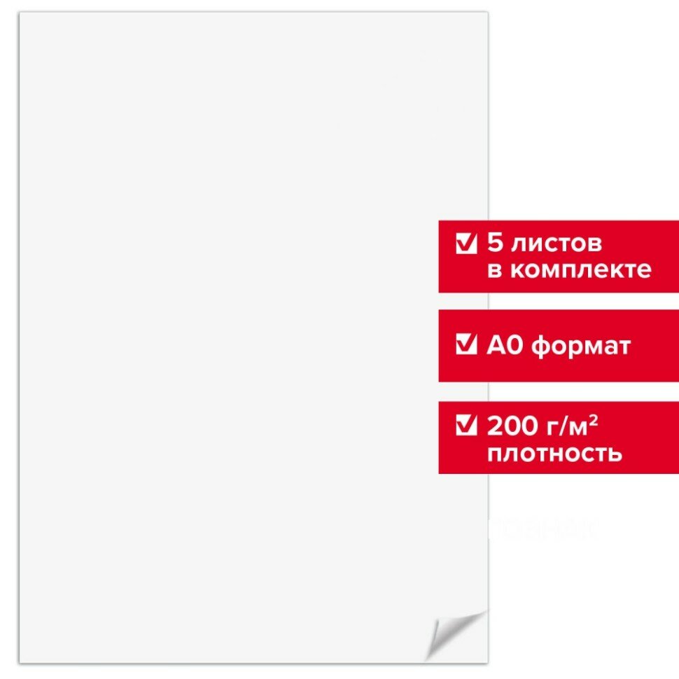 Ватман формат А0 (1200х840 мм), гознак С-Пб, плотность 200 г/м2, комплект 5 листов, BRAUBERG, 126310 (126310)