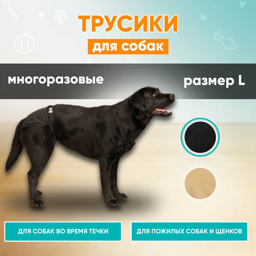 Трусы для собак многоразовые Mr Dog для девочек черные, подгузник для собак, памперс для собак, L (35-54 см)