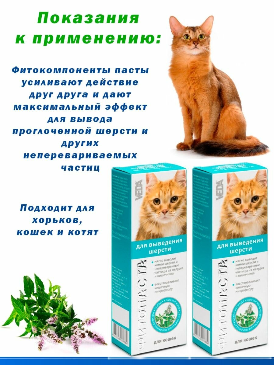Паста для выведения шерсти для кошек и хорьков ВЕДА - фото №13