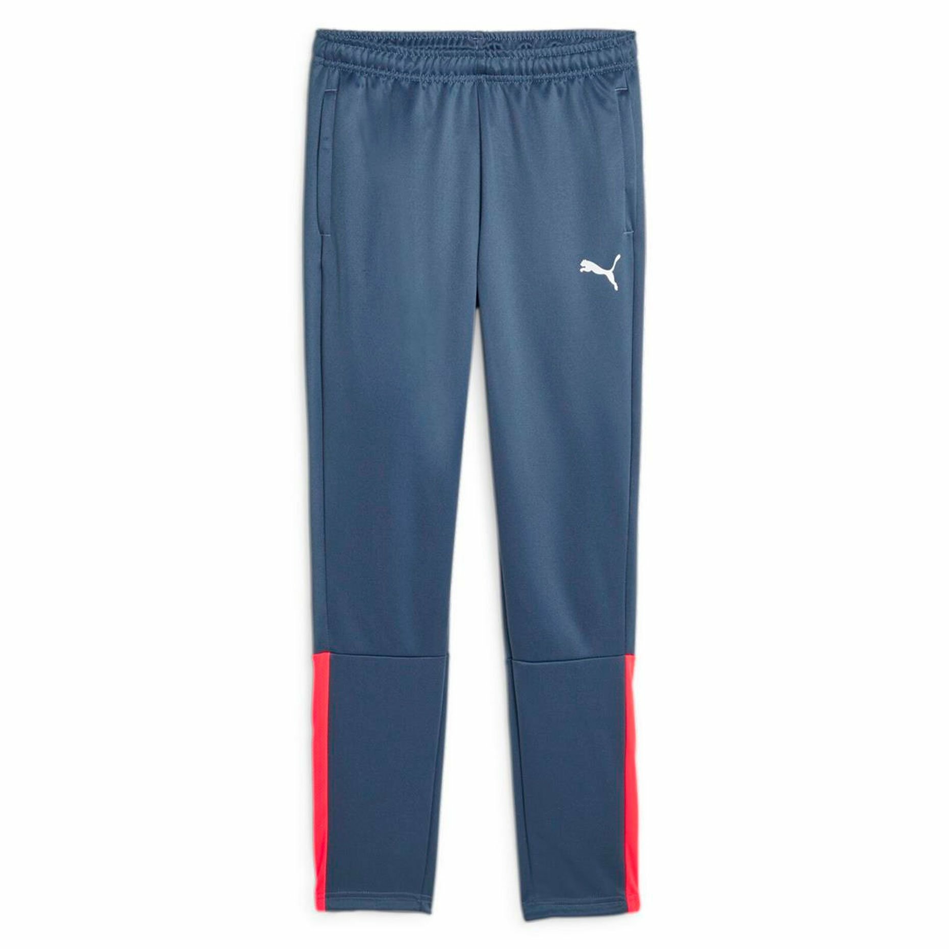 Брюки PUMA teamLIGA