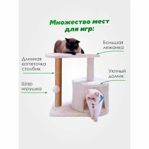 Домик для кошки с когтеточкой Pet БМФ бежевый