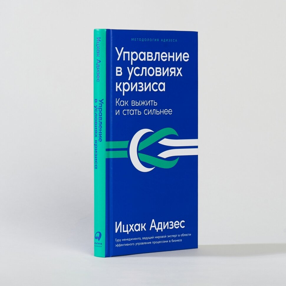 Управление в условиях кризиса Как выжить и стать сильнее - фото №14