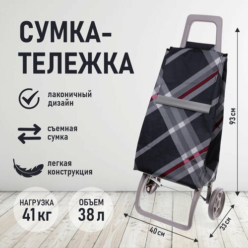 Сумка-тележка Селфи 946-202, 40 л, 40х93х30 см, черный