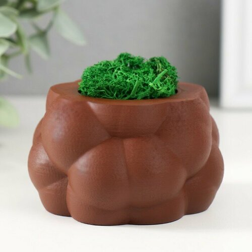 Кашпо бетонное Пузырьки со мхом коричневый 8х8х5см мох зеленый стабилизированный 316₽