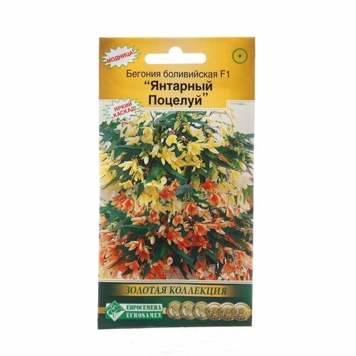 Семена цветов Бегония боливийская Янтарный поцелуй, драже, F1, 5 шт (комплект из 8 шт) бегония бауэра микс
