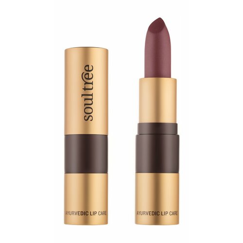 SOULTREE Ayurvedic Lipcare Помада для губ, 4 г, 511 Сияющий коричневый