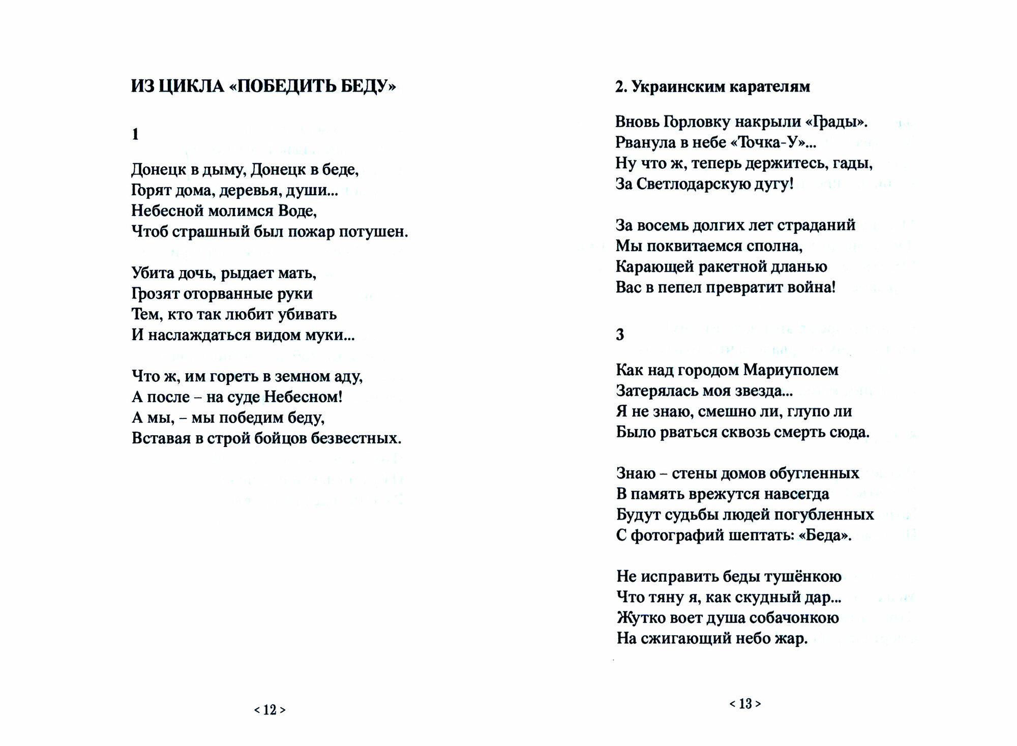 На жгучих полях Новороссии (Полубота Алексей Викторович) - фото №2