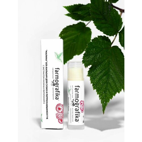 Farmografika Бальзам для губ Малина 240₽