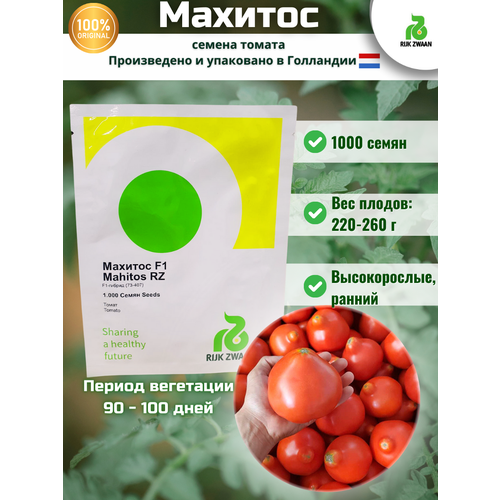 Махитос F1- семена томатов, 100 семян, RIJK ZWAAN/райк цваан (голландия)