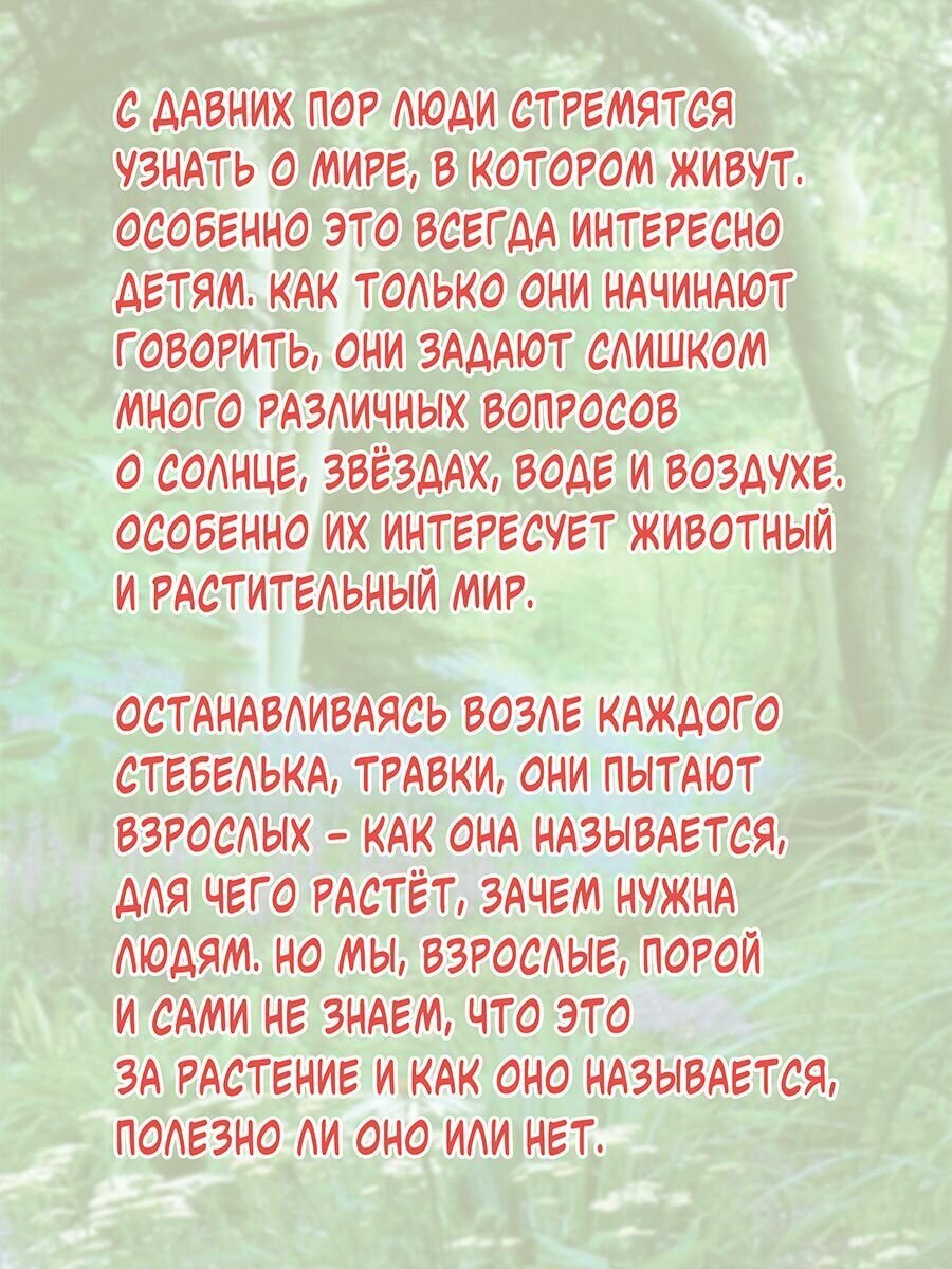 Путешествие Ручейка в мир Волшебных растений. Книга 1 - фото №5