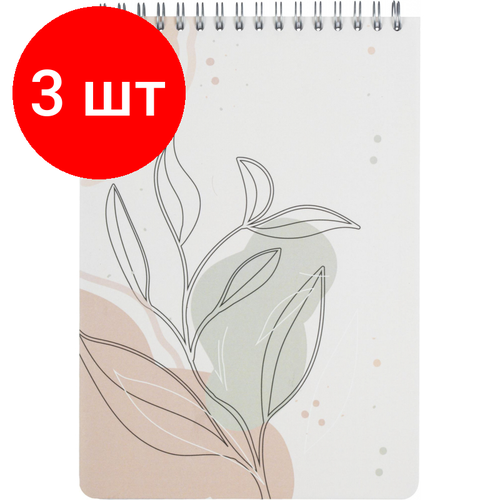 Комплект 3 штук, Блокнот 80л, клетка, А5 Flora 1, пласт. обл, серебр. спираль блокнот 60л а7 attache selection flora линейка спираль 75х110мм