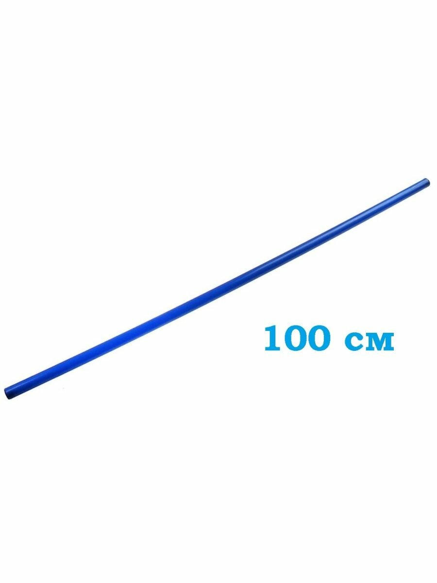 Палка гимнастическая для ЛФК пластиковая Mr.Fox, длина 100 см, синий