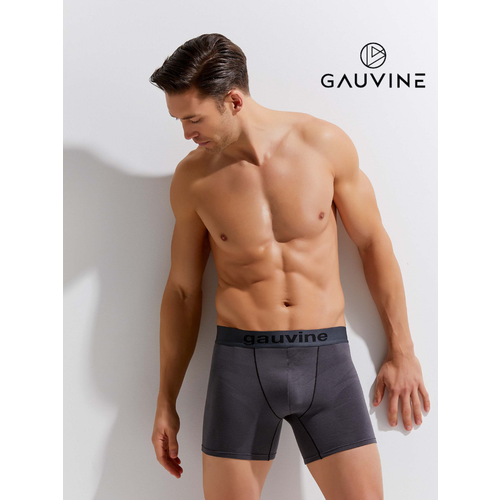 фото Трусы gauvine, размер xxl, серый