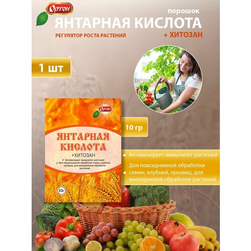 Янтарная кислота с хитозаном 10 г кислота янтарная joy 10 г