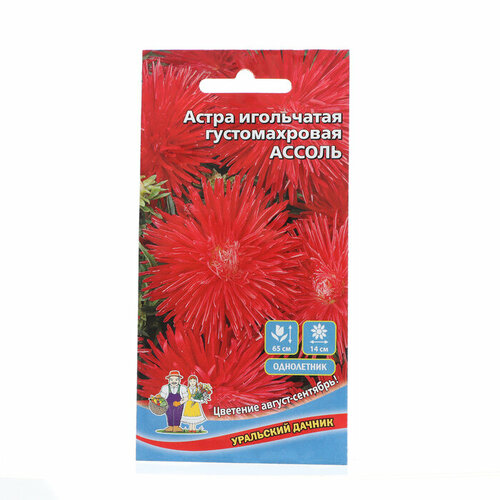 Семена Цветов Астра игольчатая густомахровая Ассоль , 0 ,3 г цветы астра афина игольчатая аметистовая 0 2г седек