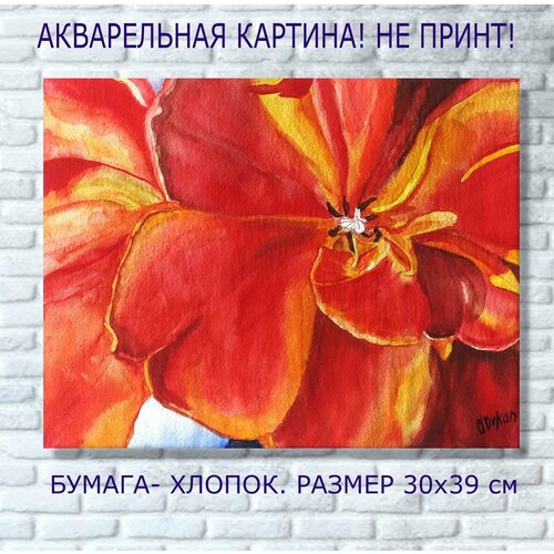 Картина Тюльпаны Цветы акварельная картина 30х39 см 2800₽