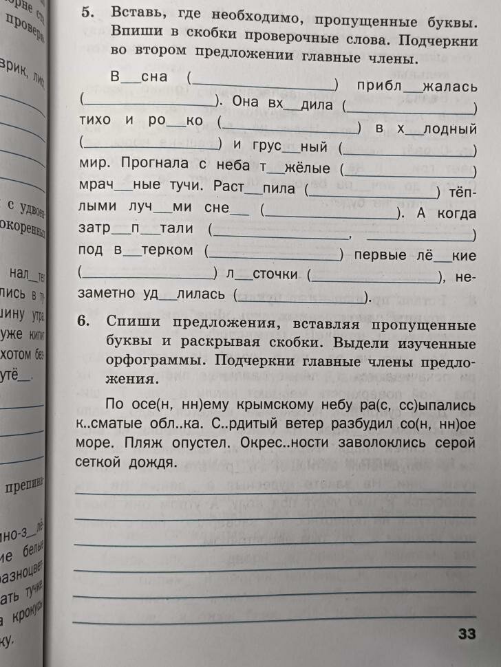 Шклярова. Тренажер по русскому языку 3 класс. ФГОС. Рабочая тетрадь (Вако)