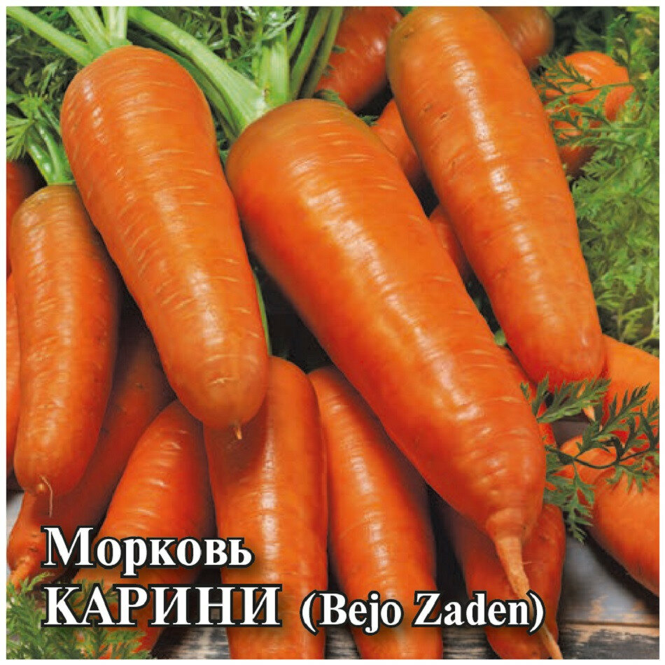 Семена Морковь Карини 10г Гавриш Фермерское подворье Bejo