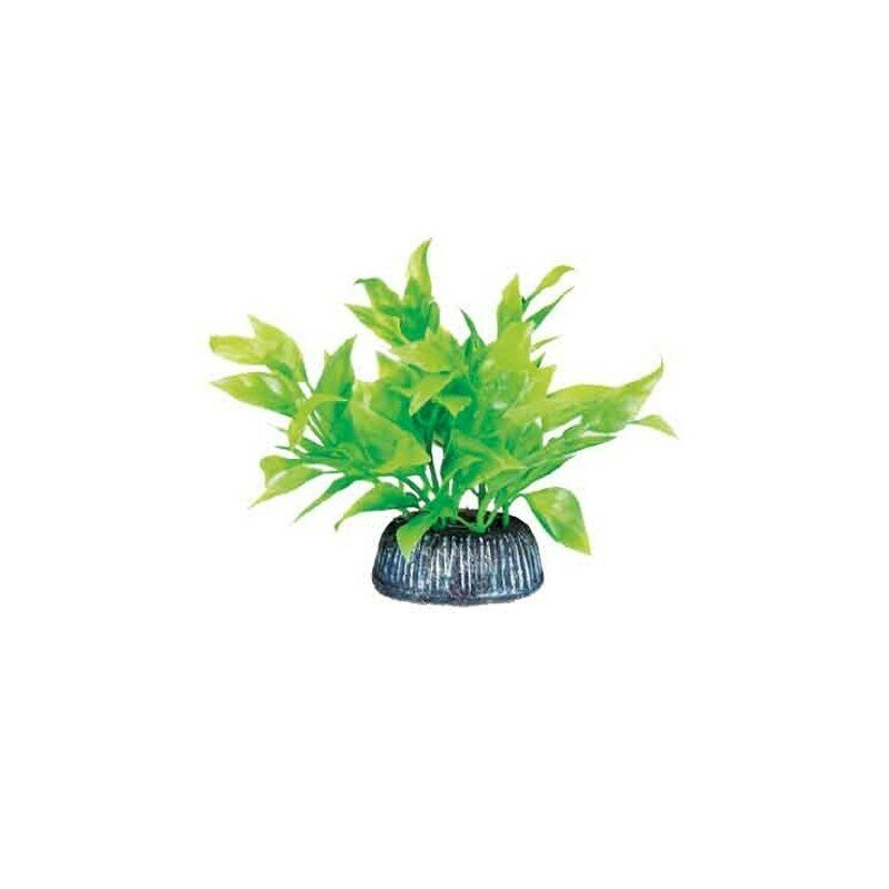 Растение для аквариума пласт 8см зелёное Альтернантера, 2 шт.