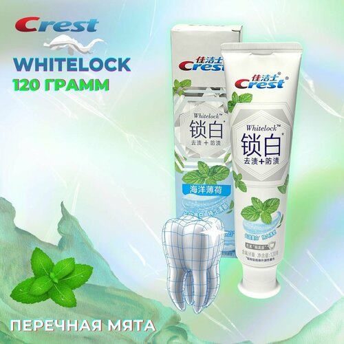 Зубная паста Crest Whitelock, профессиональная отбеливающая, Океаническая Мята ,120гр