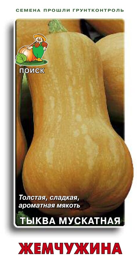 Семена Тыква Жемчужина мускатная 10шт (Поиск)