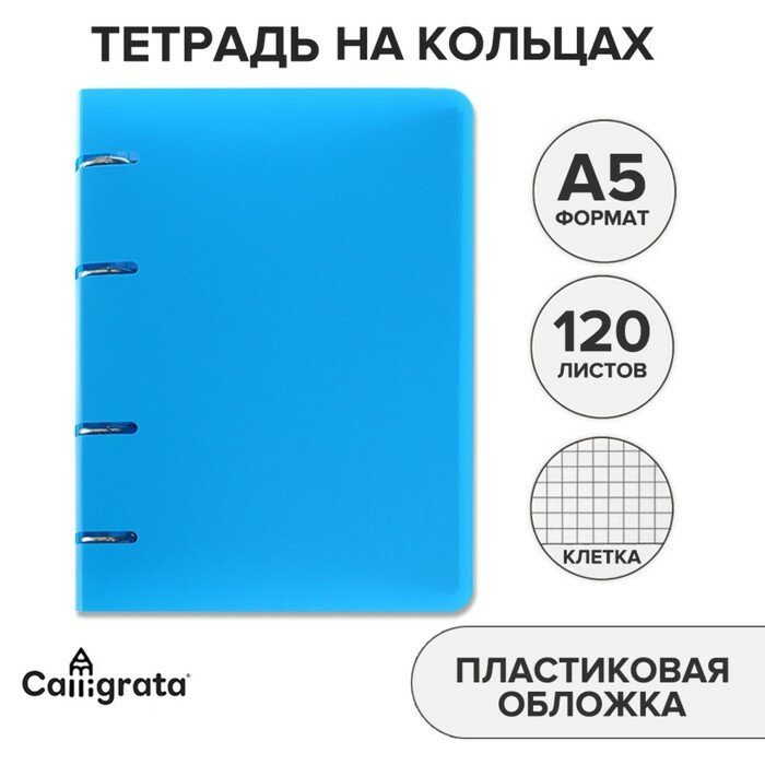 Calligrata Тетрадь на кольцах Calligrata A5, 120 листов, в клетку, пластиковая обложка, блок офсет, голубая