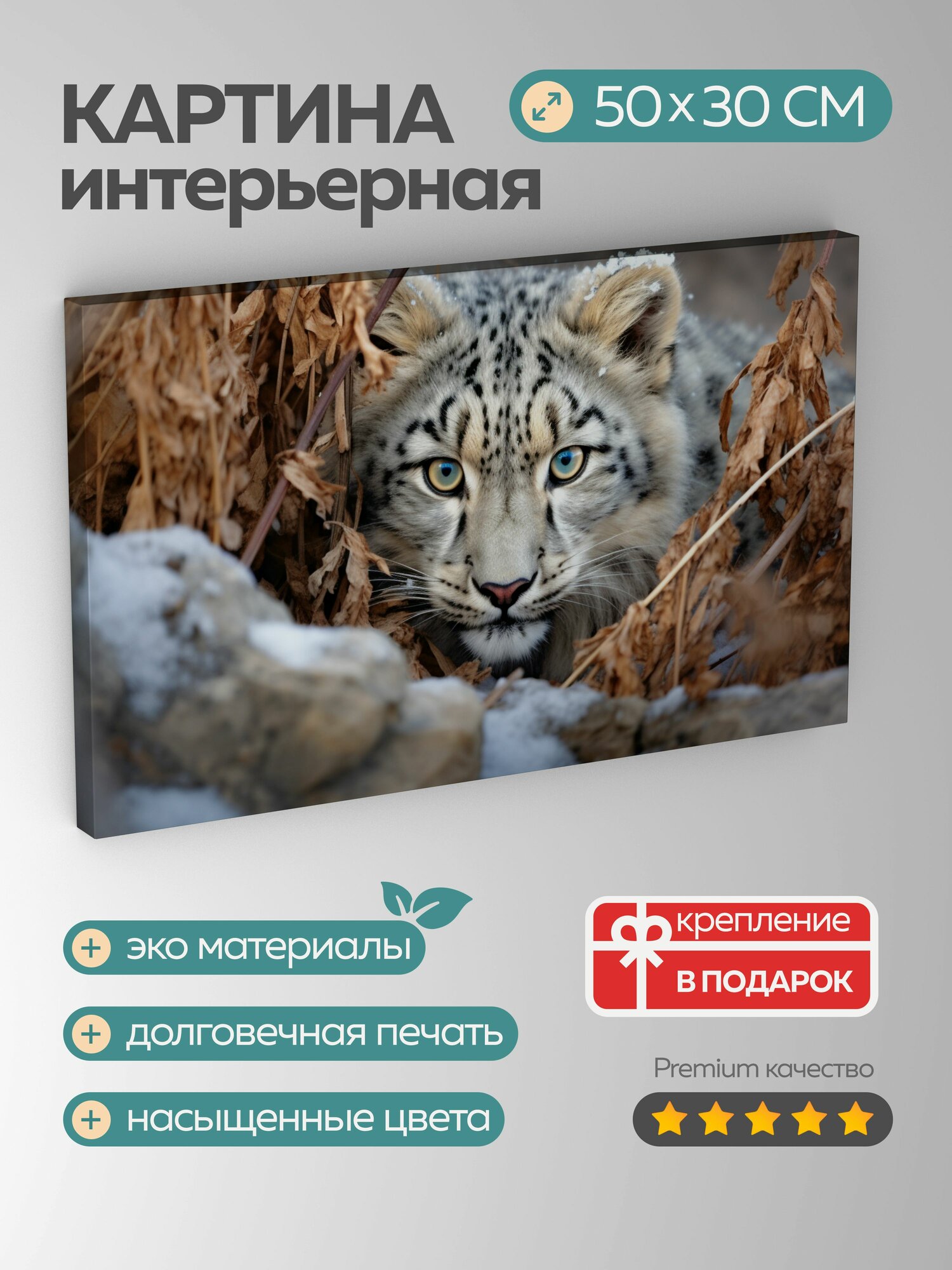 Картина на холсте интерьерная 50х30 см, картина, фотография, снежный барс, замаскированный, среда обитания, леопард