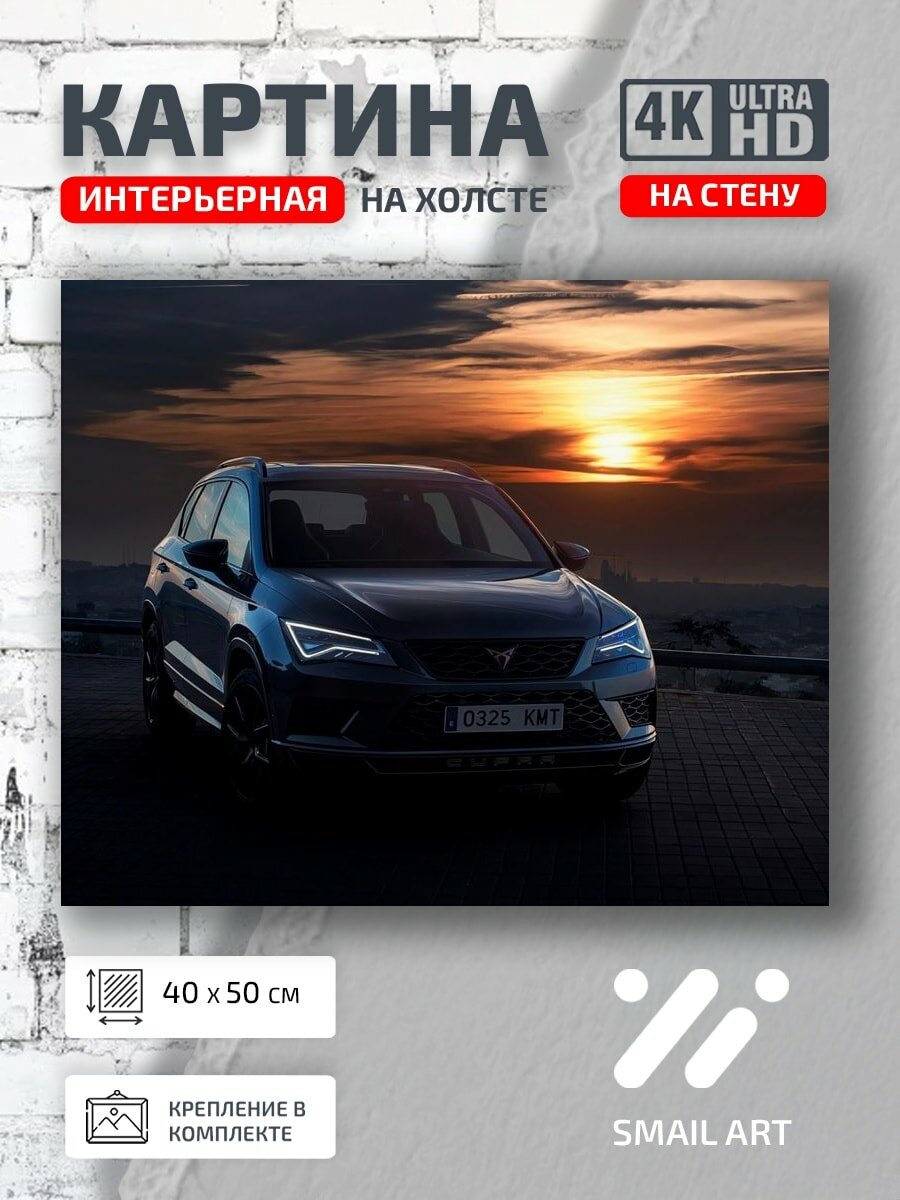 Картина на холсте интерьерная 40 на 50 на стену машина Seat для кабинета пейзаж