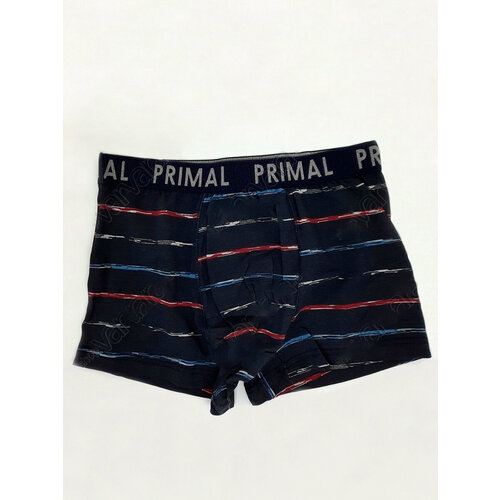 фото Трусы primal, размер 46, мультиколор