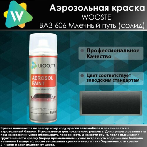 Автомобильная аэрозольная краска WOOSTE 606 Млечный путь