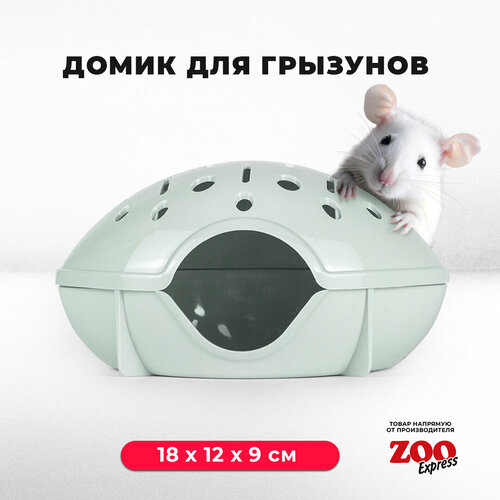 домик zooexpress для грызунов хомяков крыс и мышей 18х12х9 см без дверцы оранжевый Домик ZOOexpress для грызунов, хомяков, крыс и мышей, 18х12х9 см, без дверцы, светло-зеленый