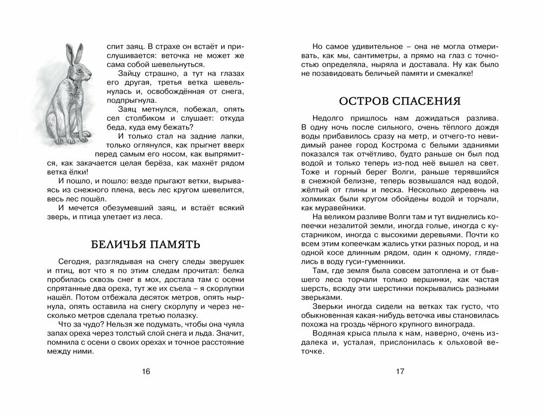 Лисичкин хлеб — фото 1