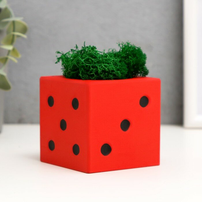 фото Кашпо бетонное "Кость игральная" со мхом красный с черным 7х7х7 см (мох зеленый стабилизир) 10227296