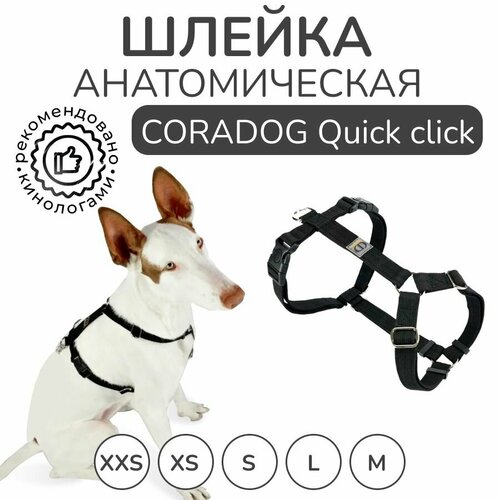 Шлейка прогулочная анатомическая для мелких пород собак и кошек, CORADOG Quick click, размер XXS, цвет черный