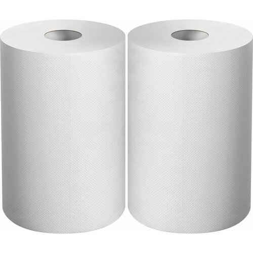 ЗУБР 20 х 25 см 2-х слойная в рулоне 400 листов 2 рулона протирочная бумага Профессионал 12822-20 1092₽