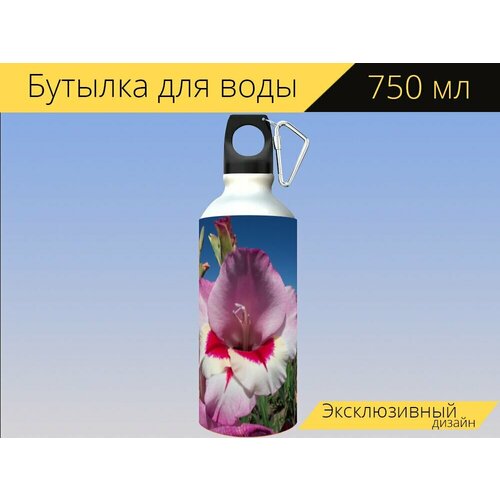 фото Бутылка фляга для воды "гладиолусы, гладиолус, меч цветок" 750 мл. с карабином и принтом lotsprints