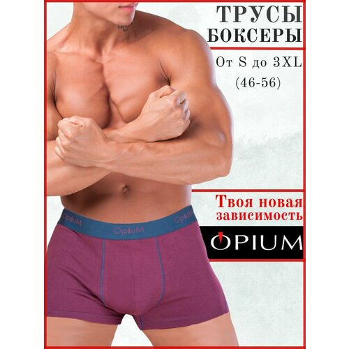 фото Трусы opium, размер l, фиолетовый