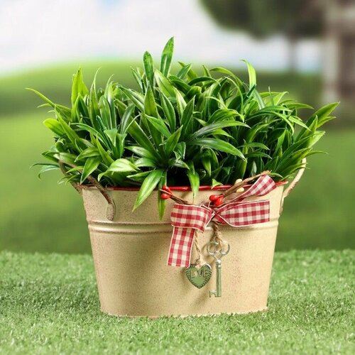 Кашпо Ведерко Рустад бежевое 14х11х9см 1228₽