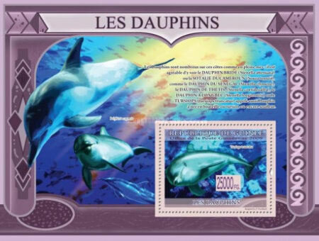 Почтовые марки Гвинея 2009г. "Морской Пехотинец - Дельфины" Дельфины MNH