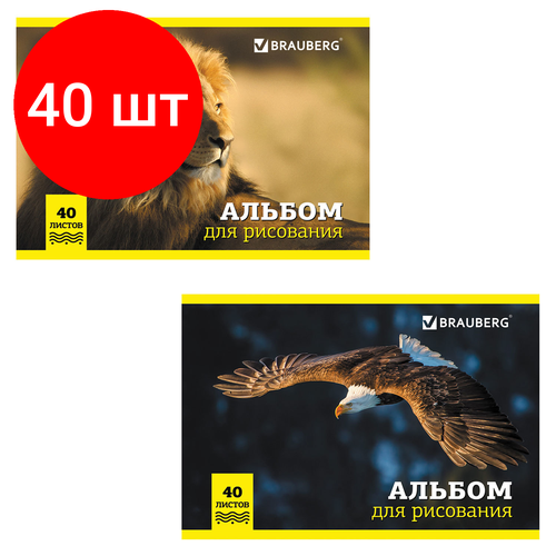 Комплект 40 шт, Альбом для рисования, А4, 40 л, скоба, обложка картон, BRAUBERG, 200х283 мм, Дикие животные (2 вида), 104876