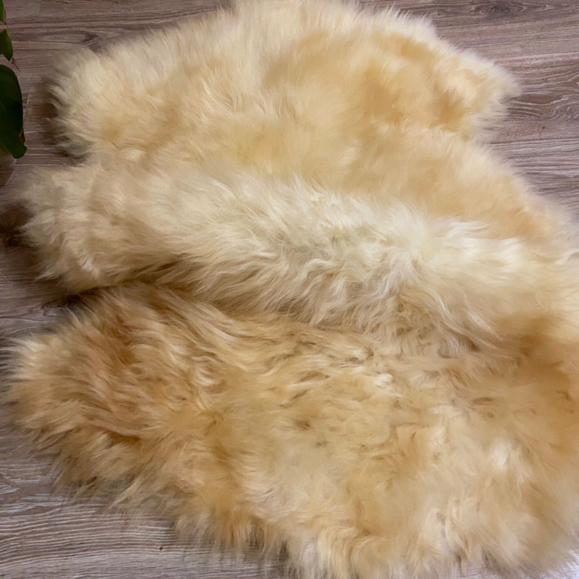 Шкура коврик меховой прикроватный овчина, длинный ворс 110х77 см.
