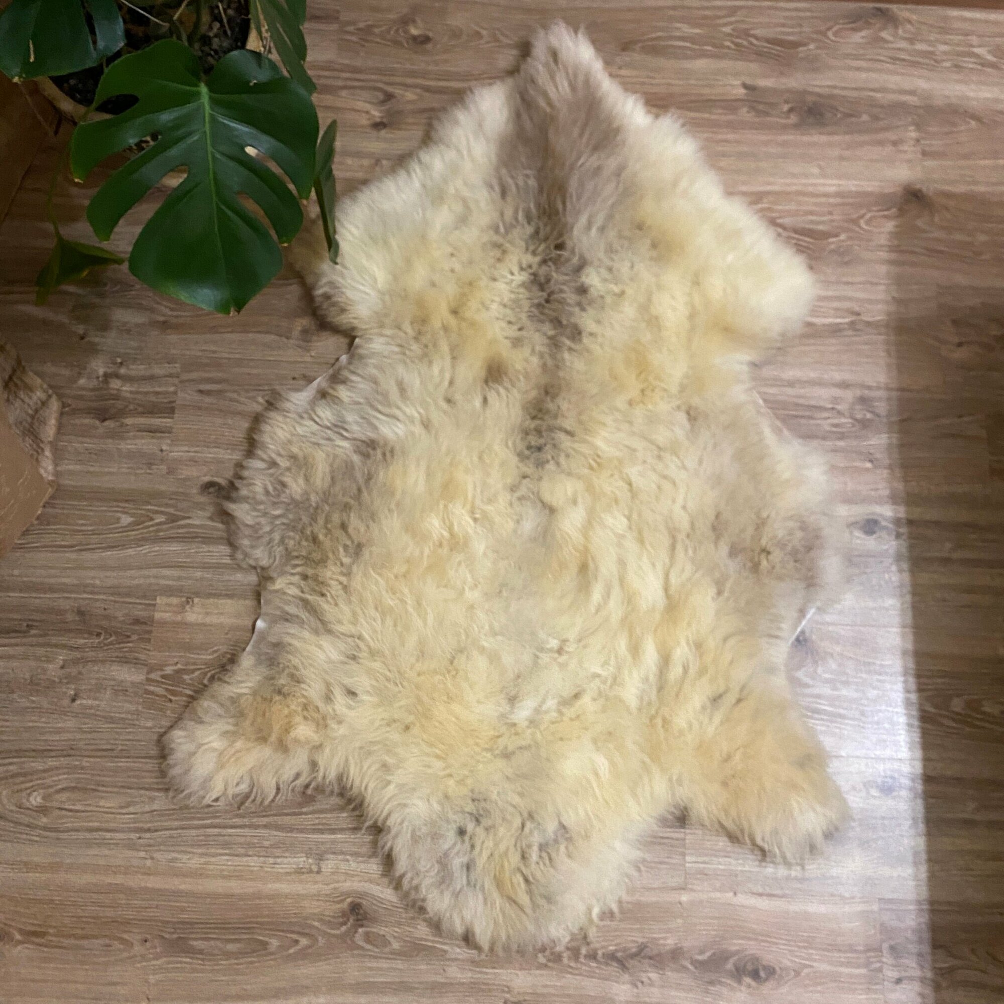 Шкура коврик меховой прикроватный овчина, длинный ворс 140х88 см. - фотография № 1