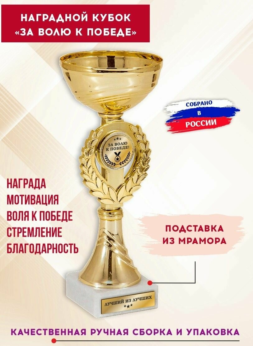 Кубок для награждения спортивный "За волю к победе!", с гравировкой, SPORT PODAROK