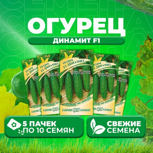 Огурец Динамит F1, 10шт, Гавриш, от автора (5 уп)