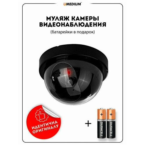 Муляж камеры видеонаблюдения Уличная Купольная 32500₽