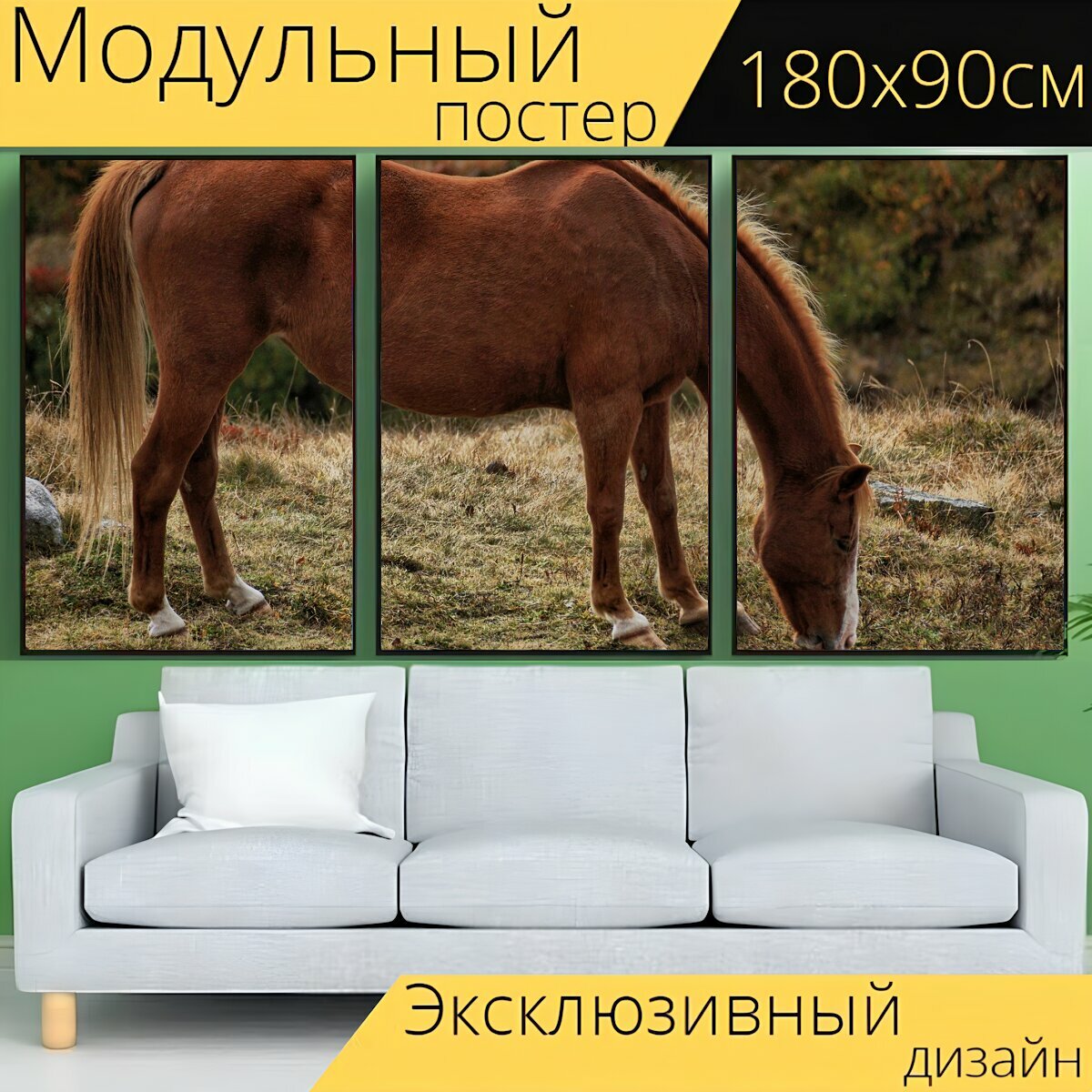 Модульный постер "Лошадь, коричневый, коричневая лошадь" 180 x 90 см. для интерьера