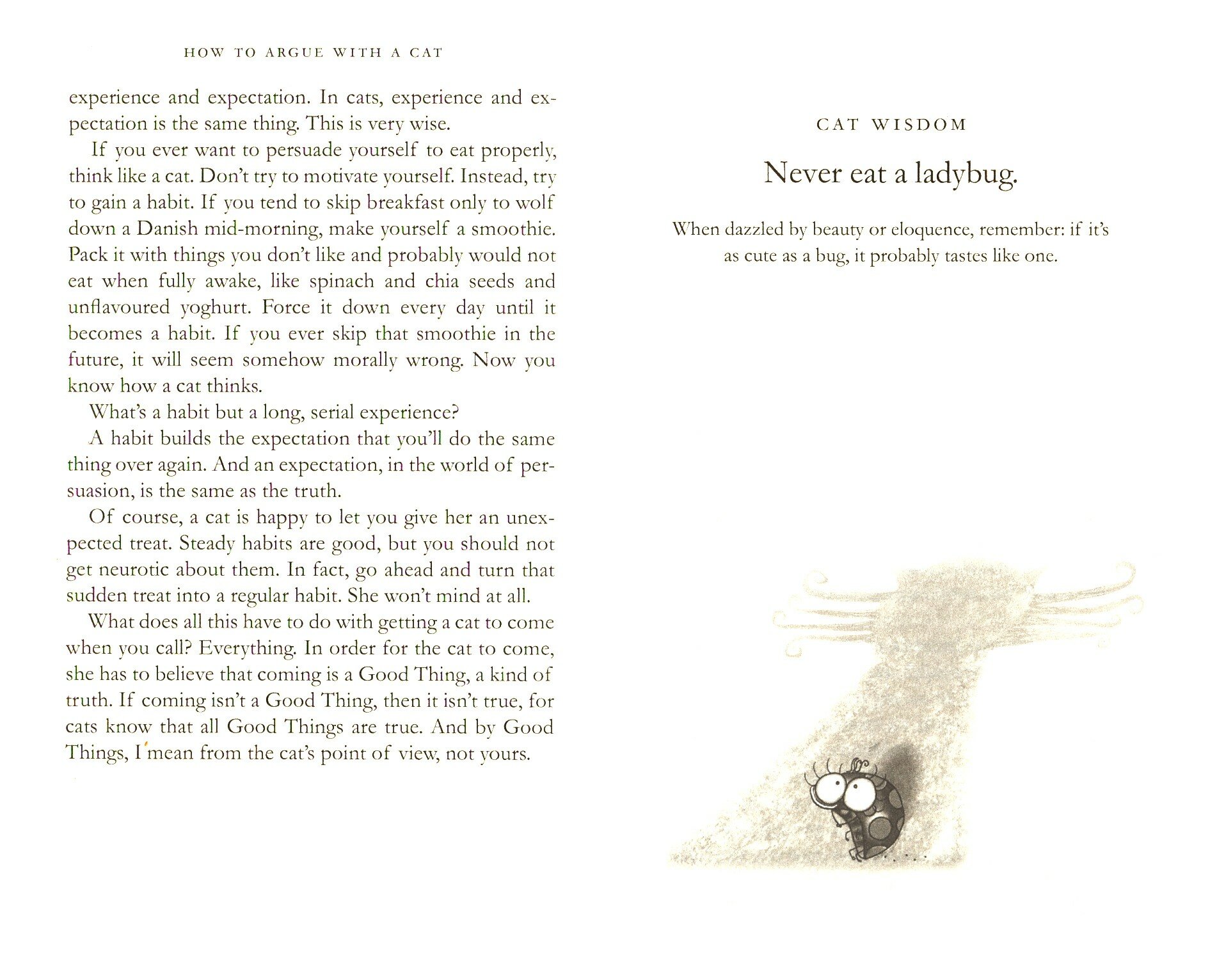 How to Argue with a Cat. Human's Guide to the Art of Persuasion - фото №2