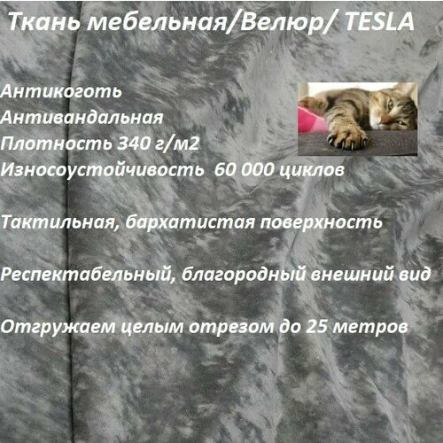 Ткань мебельная 100KOVROV антикоготь Велюр TESLA_07 камень