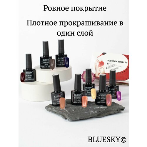 Гель лак для ногтей набор 10, гель-лаки Bluesky