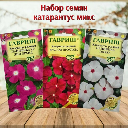 Набор семян цветов Катарантус розовый микс 3 упаковки катарантус пацифика дип орхид 10 семян поиск 5 пачек